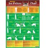 Poster : Apprendre la prière (français - arabe - phonétique)